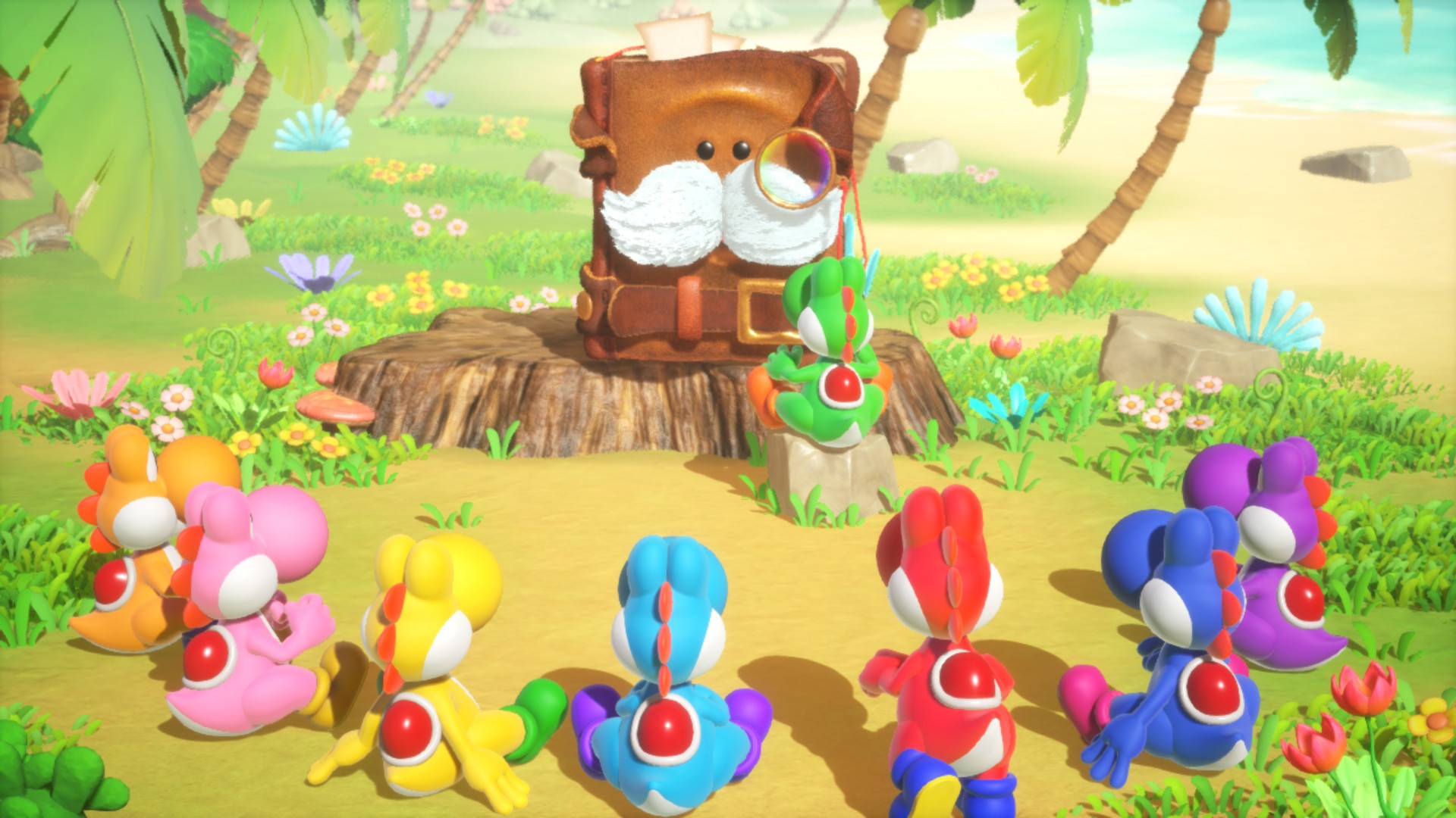 Yoshis meet Mr.E